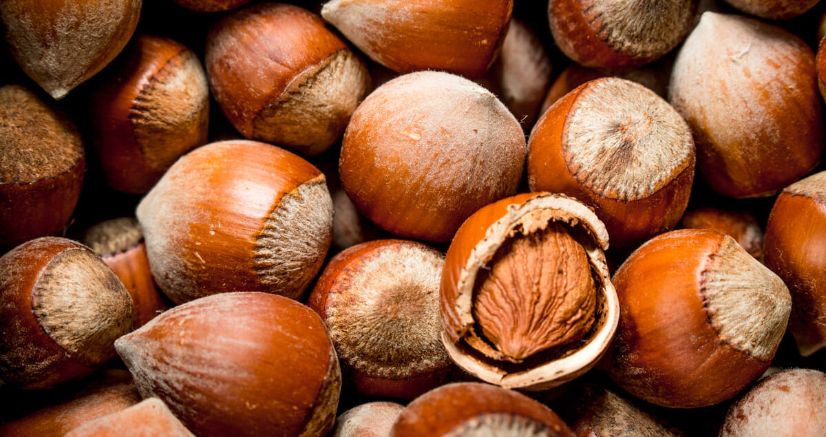 nocciole-siciliane