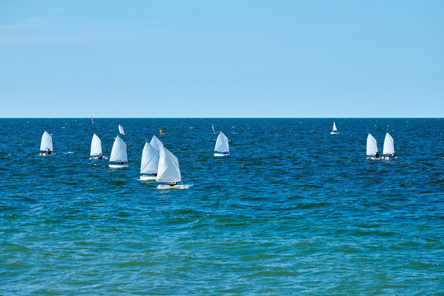 Regata