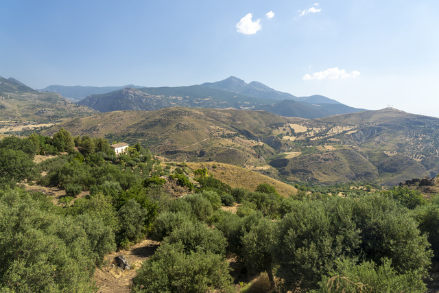 Famiglia Ventimiglia