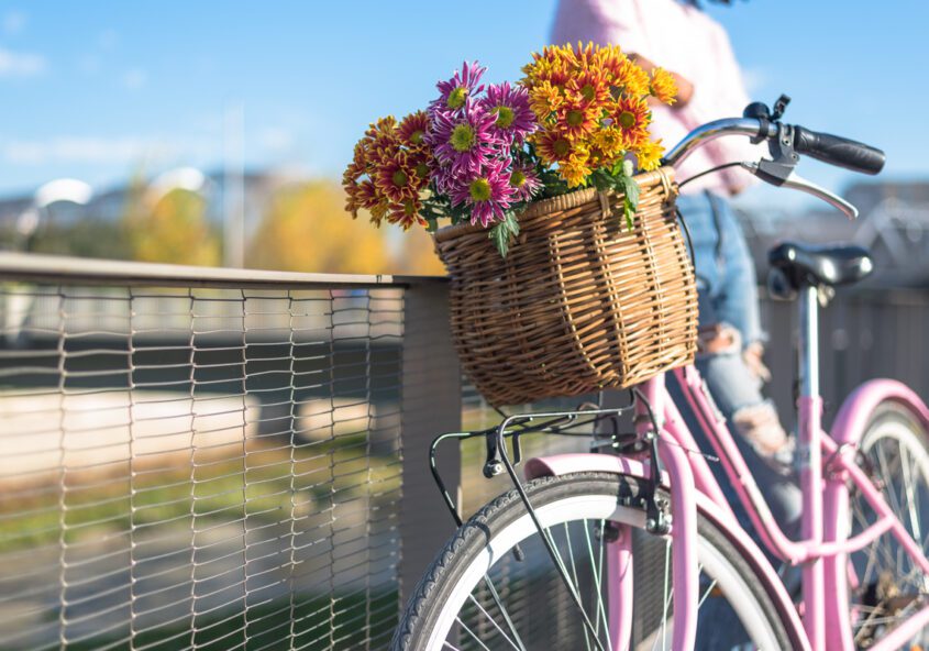 Escursioni in bicicletta
